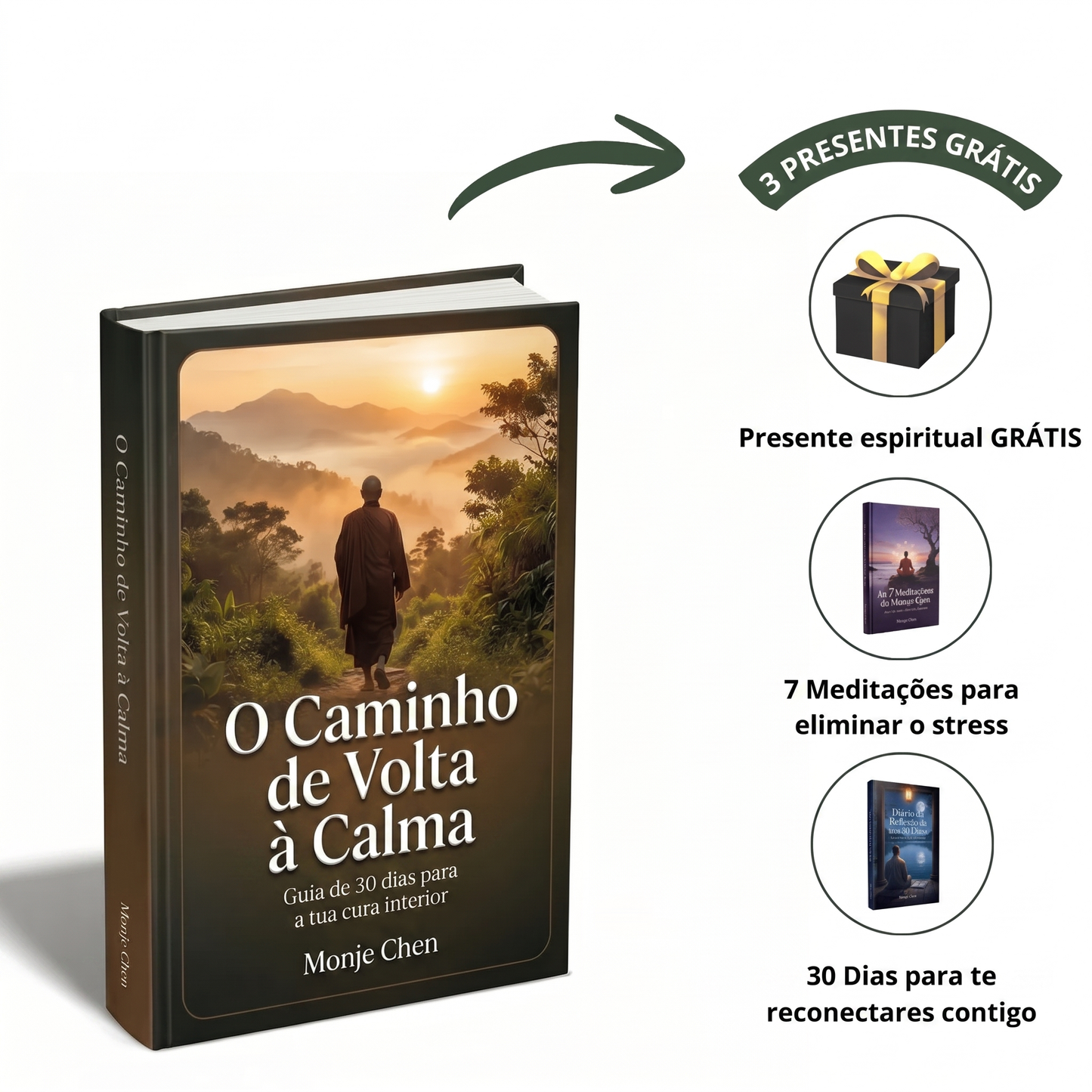 O Caminho De Volta a Calma